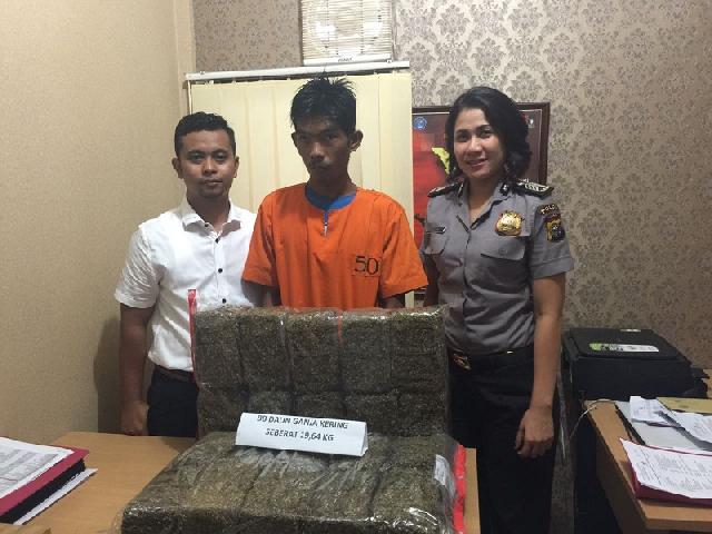 Polda Riau Musnahkan Barang Bukti 19,64 Kg Ganja Kering