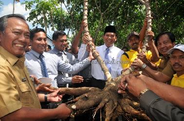 Pemko Kagumi Kelurahan Palas Jadi Pusat Wisata Agro