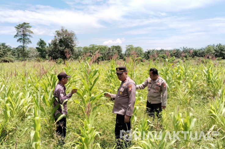 Polsek TPTM Pantau Program Ketahanan Pangan, Kapolsek Tinjau Langsung Kondisi Lahan