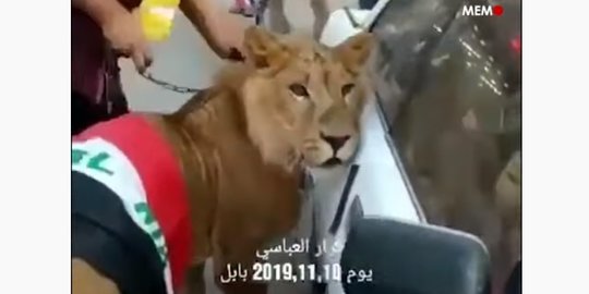 Polisi Bawa Anjing Bubarkan Demonstrasi, Pendemo Bawa Singa Buat Usir Anjing