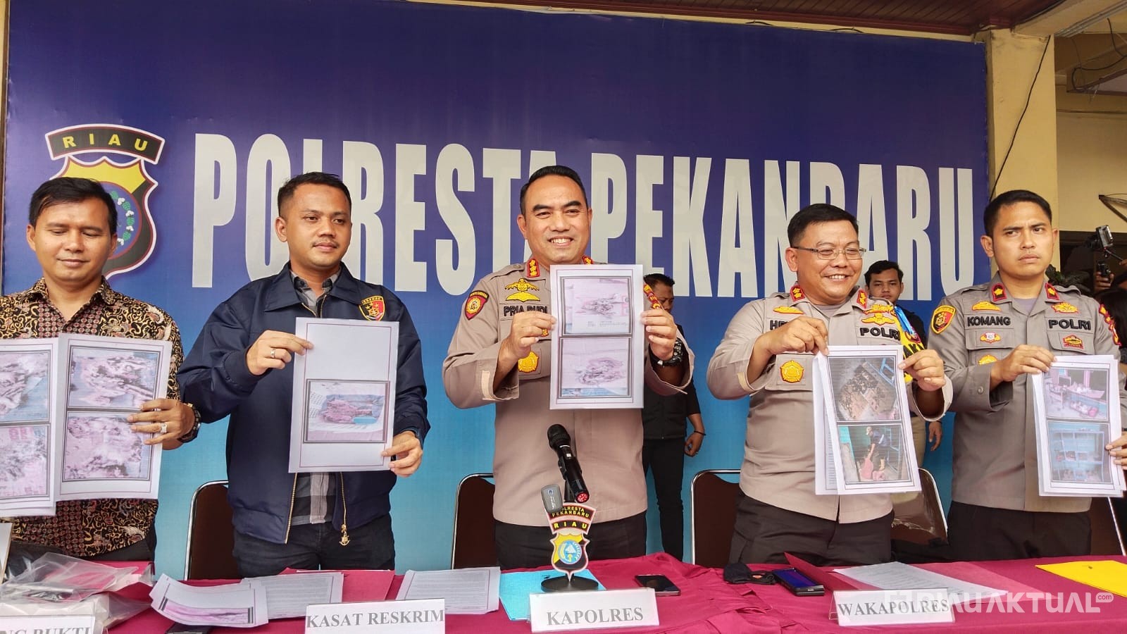 Tertangkap di Sumbar, Polisi Ungkap Motif Pelaku Penelantaran Kucing