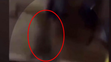 Penampakan Bayangan Hitam Ganggu Security saat Jaga Malam