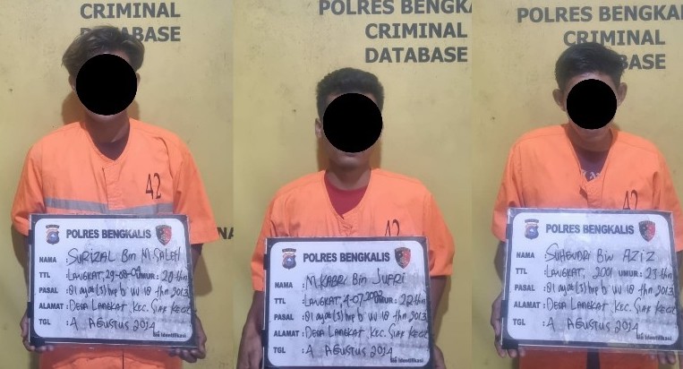 Satuan Reskrim Polres Bengkalis Tangkap Tiga Pelaku Ilegal Logging di Desa Langkat