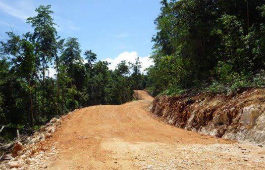 Masyarakat Pulau Burung Dan Sekitarnya Minta Dibangun Akses Jalan Ke Provinsi