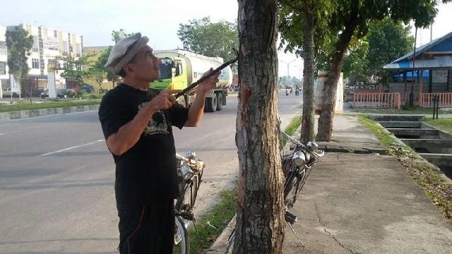 Ini Sosok Sang Relawan Pohon Pelindung di Kota Pekanbaru