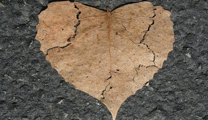 Ini dia Cara Mengatasi Sakit Hati Menggunakan Resep dari Alquran