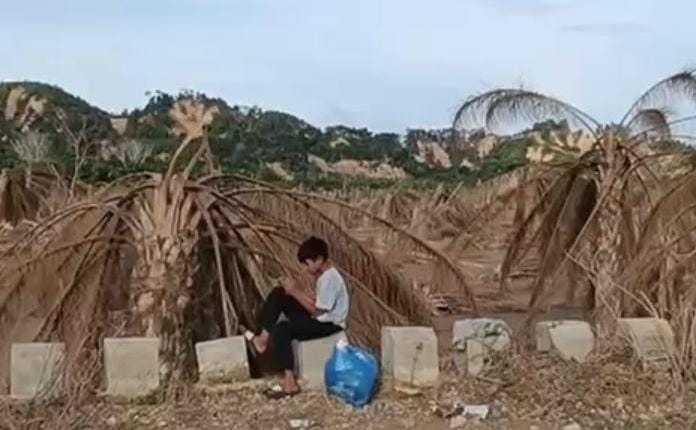 Ratusan Hektar Kebun Sawit di Aceh Tamiang Hancur Diterjang Banjir Bandang