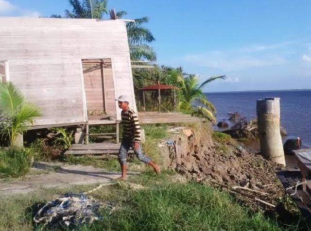 Abrasi Akibat Air Pasang, Wilayah Pinggiran Sungai Rokan Terancam Kehilangan Daratan
