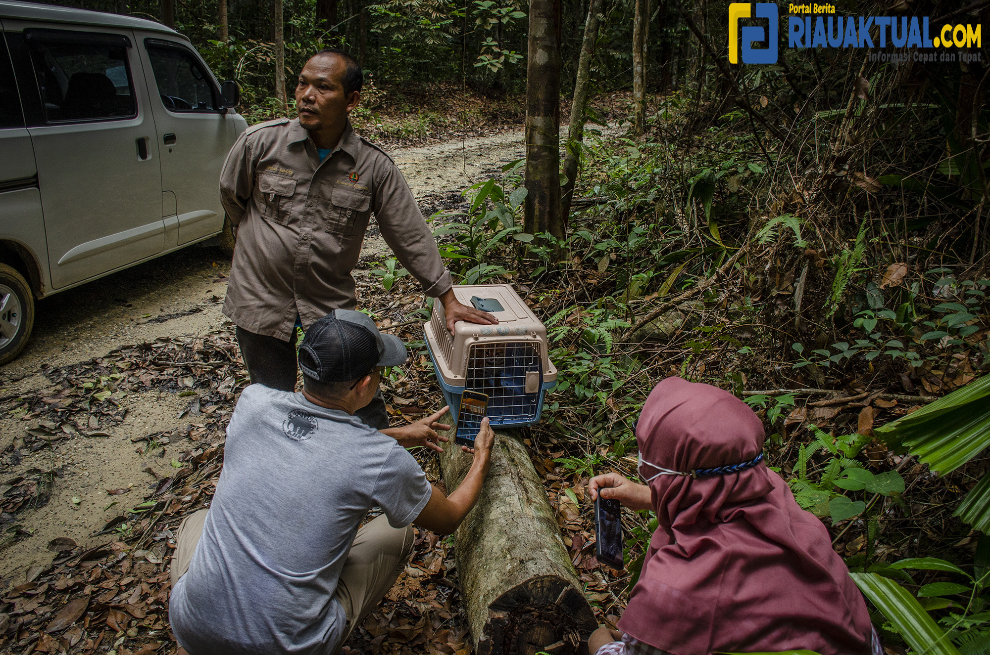 Kembalinya Kucing Hutan Ke Habitat Asli