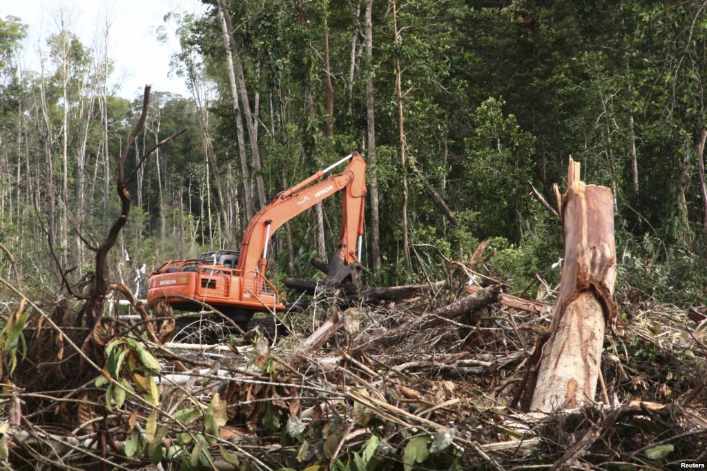 Tim Ditjen Gakkum KLHK Pusat Verifikasi Lahan yang Digarap PT MAL