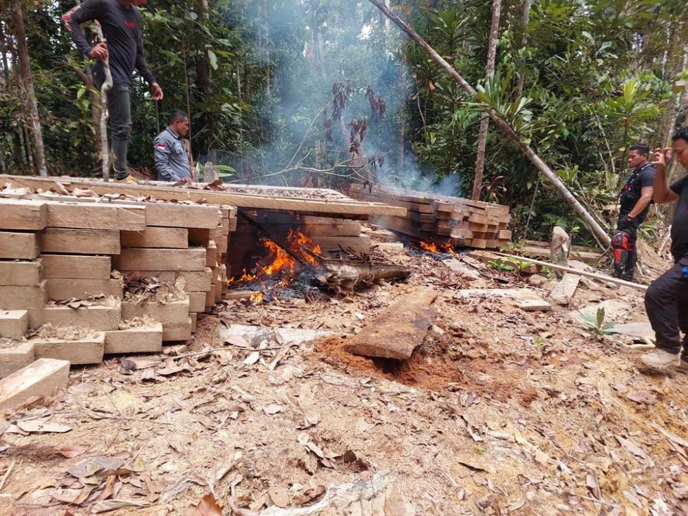 Tim Gabungan Temukan Pondok dan Kayu Pembalakan Liar di Bukit Tabandang Kuansing Riau