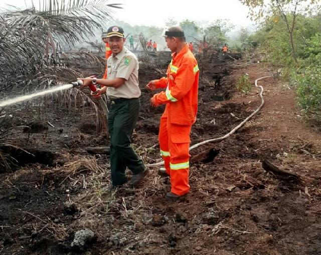 Kalaksa PBD Inhu turun langsung padamkan titik Api