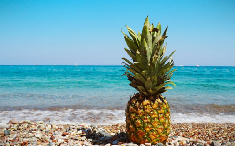 Berikut Tujuh Buah yang Bagus untuk Kesehatan Kulit, Konsumsi Yuk