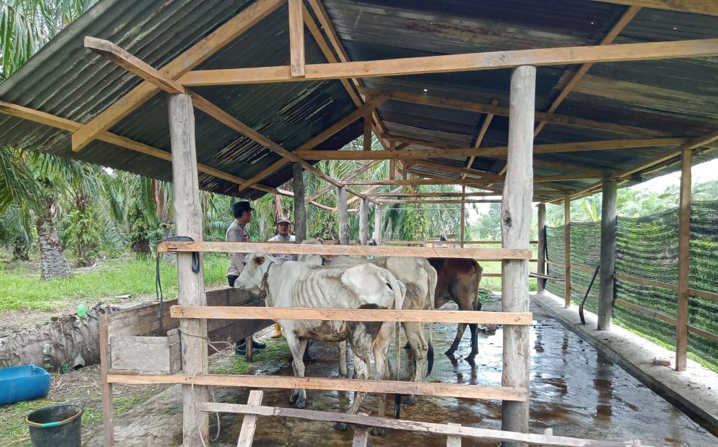 Sejalan Program Presiden Republik Indonesia, Polsek Bangko Pusako Gelar Pembinaan Ketahanan Pangan