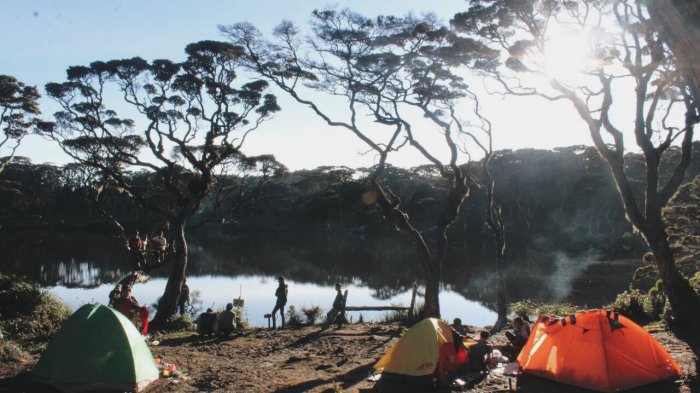 Ini Kronologi Teman Wanita Diperkosa di Gunung Singgalang, Sampai Akhirnya Meninggal Dunia