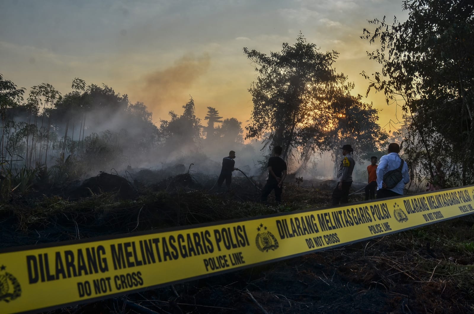 Kasus Kebakaran Lahan di Payung Sekaki Dilidik, 3 Saksi Diperiksa