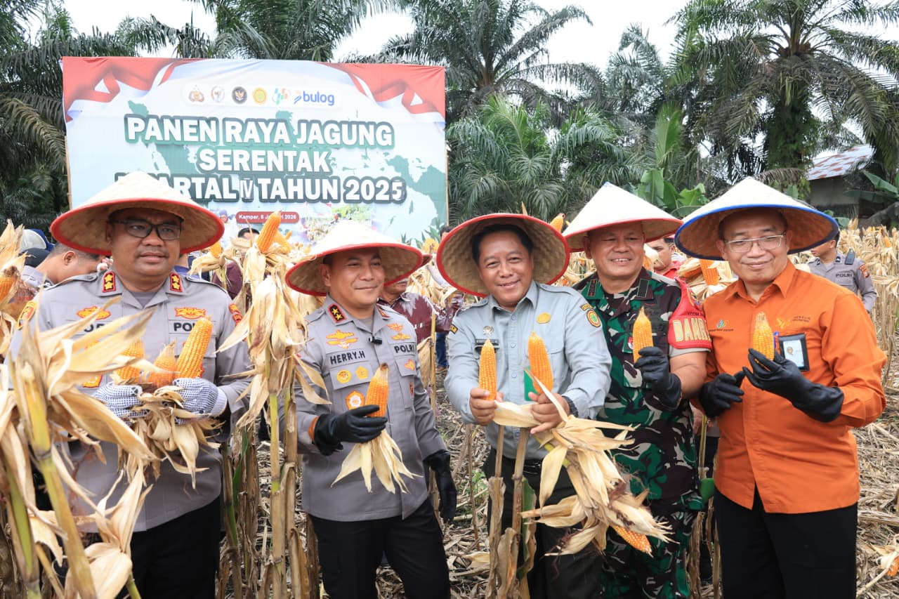 Wujudkan Swasembada Pangan, Kapolda Riau Panen Raya Jagung di Kampar