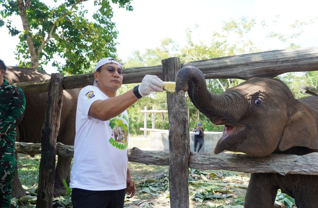 Gajah Tari Mati, Irjen Herry: Dia Adalah Suara TNTN yang Menyempit