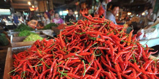 Irba Sebut, Harga Cabai Tinggi Disebabkan Faktor Cuaca