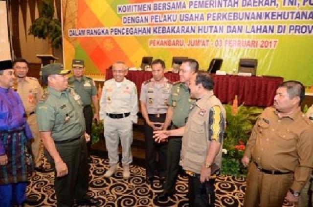 BNPB Sebut ancaman karlahut 2017 jauh lebih besar