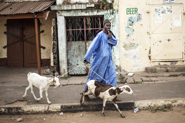 Astaga, Dituduh Ubah Manusia Jadi Kambing, Pria Nigeria Babak Belur