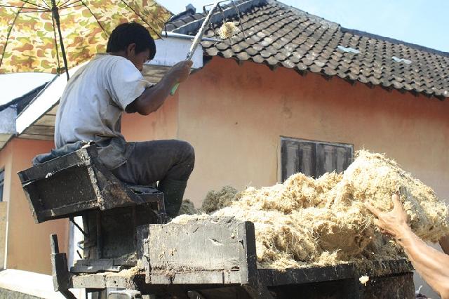 Meranti jadi Pusat Kuliner Sagu di Riau