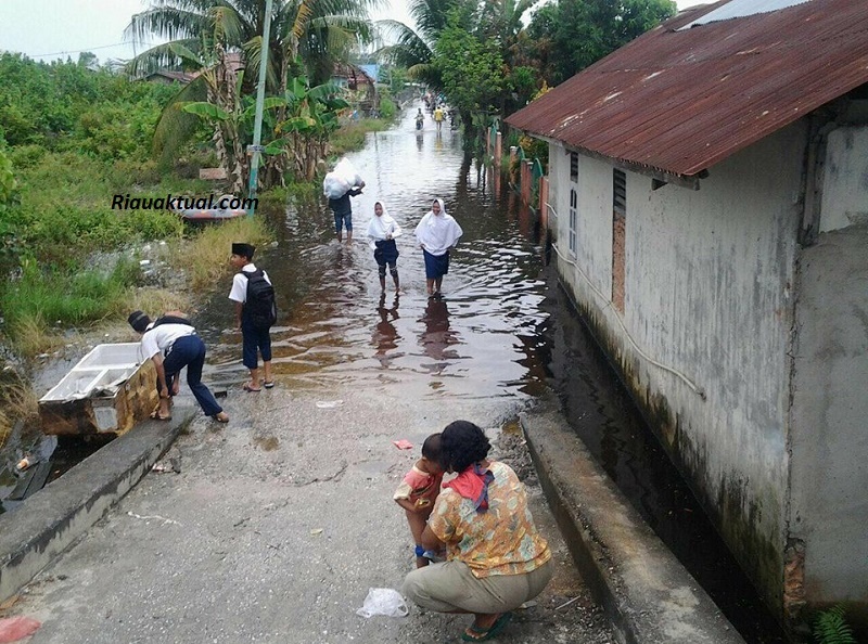 Akibat Luapan Sungai Siak, 300 Rumah Warga di Pekanbaru Terendam Banjir