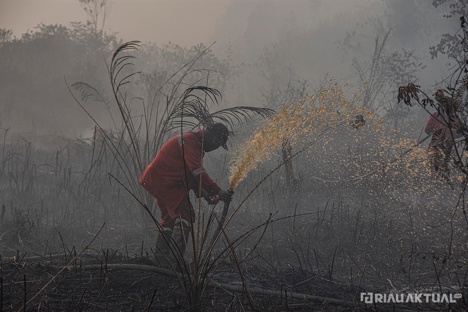 222 Titik Panas Terdeteksi di Riau, Rohil Terparah