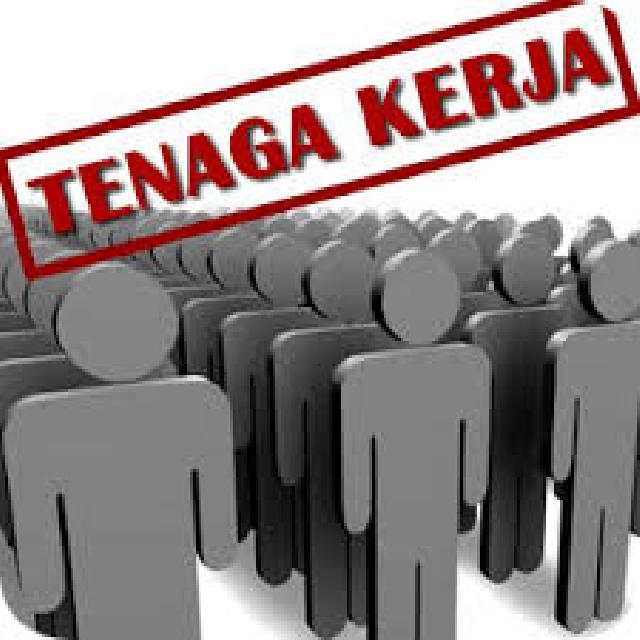 Banyak Perusahaan Tidak Transparan Rekrut Naker Disnaker Undang Manajemen Perusahaan