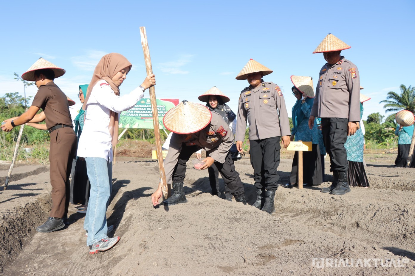 Dukung Program Nasional, Polres Rokan Hilir Tanam 22 Hektar Jagung Serentak