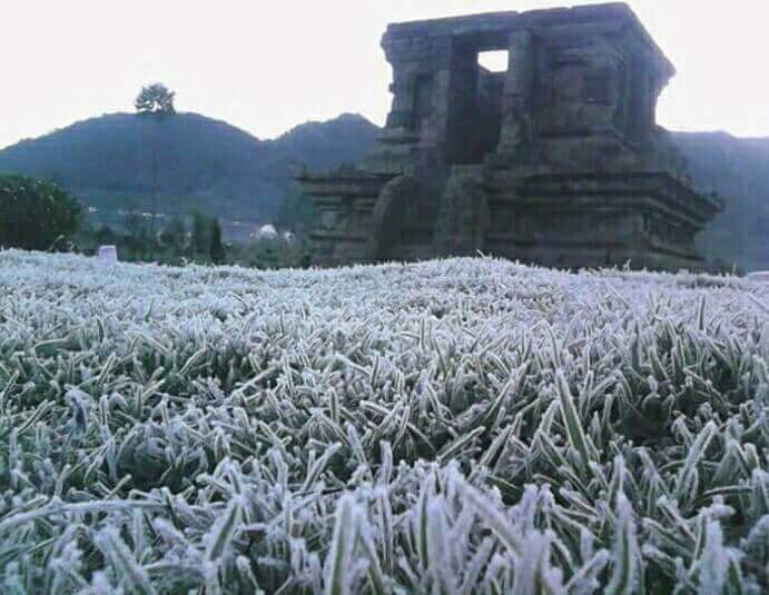 Embun Salju di Dieng Turun Semakin Tebal dan Meluas