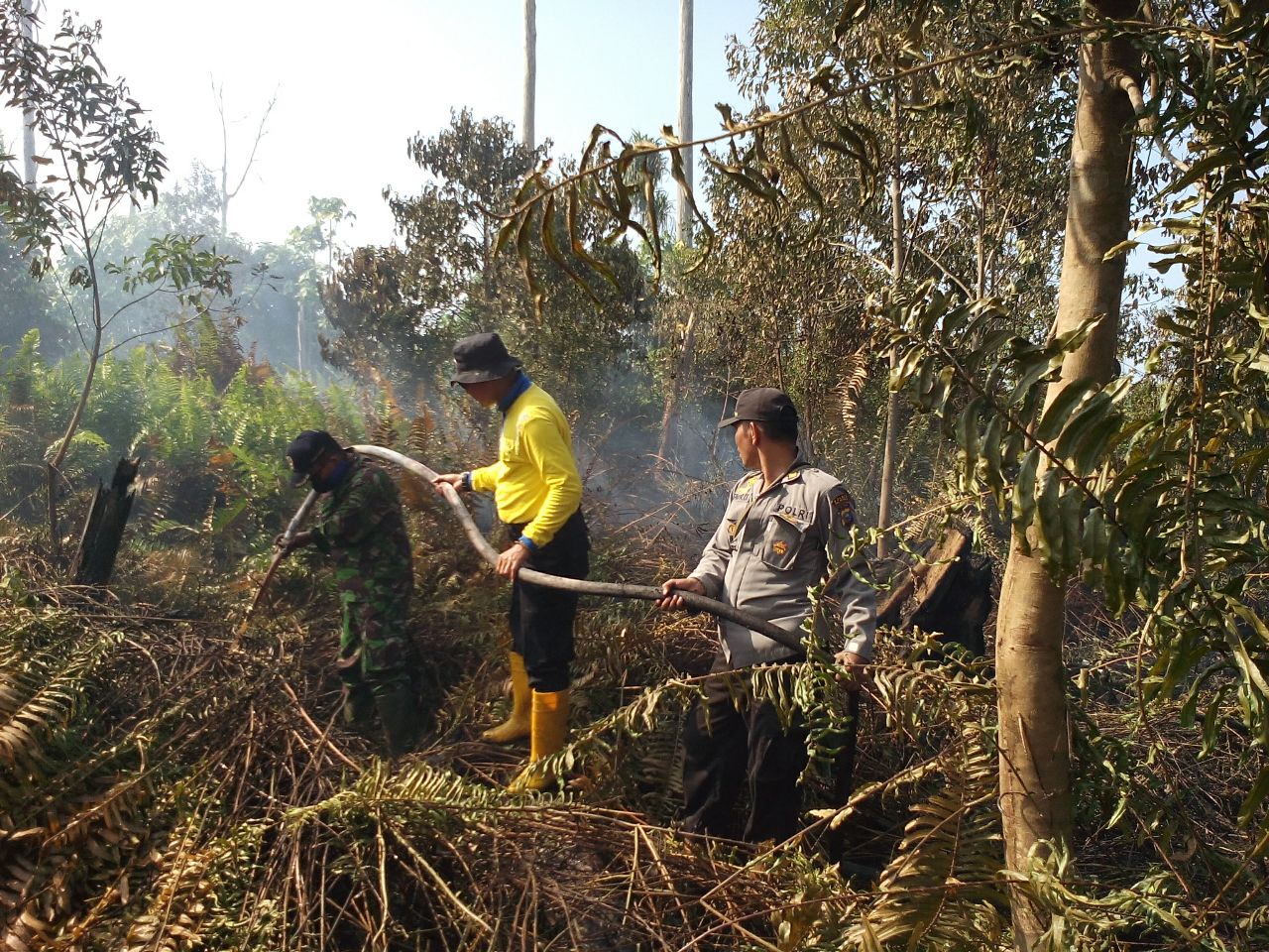 Lahan Gambut di Siak Terbakar Lagi, Tim Buat Parit Agar Api Tak Meluas
