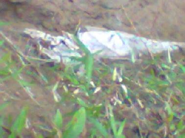 Warga tak Berani buka Kain Kafan Mayat yang Ditemukan di Tepi Sungai Itu