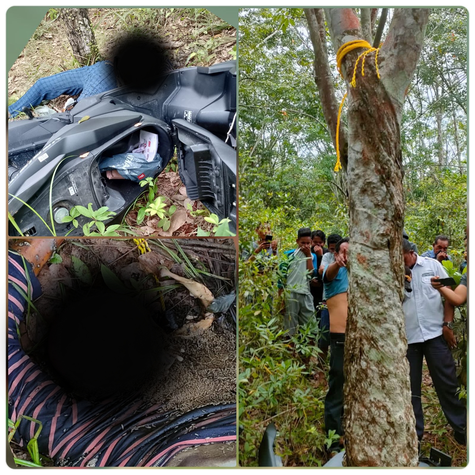 Usai Autopsi, Polisi Nyatakan Mayat Wanita di Kebun Karet Korban Bunuh Diri