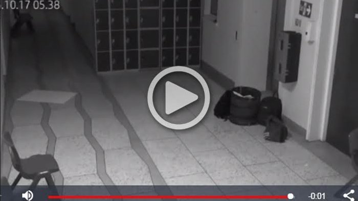 VIDEO: CCTV Sekolah Rekam Kejadian Horor saat Subuh, Videonya Bikin Bergidik!