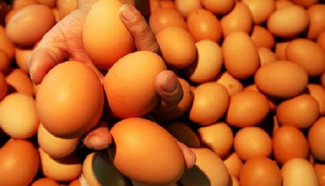 Tahun Baru Harga Telur Melambung Tinggi