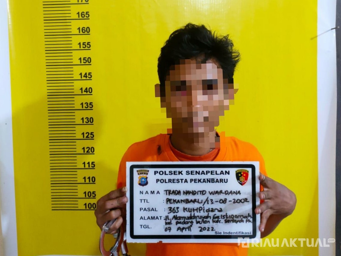 Aksi Maling di Toko Grosir Terekam CCTV, Polsek Senapelan Ringkus Pelaku