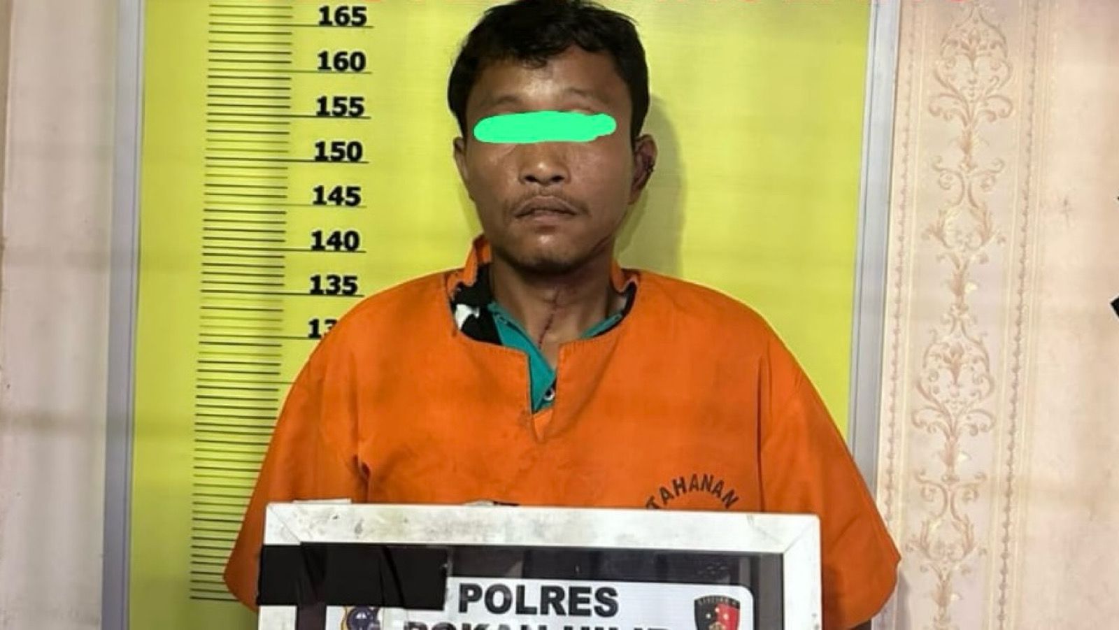 Tim Resmob Polres Rohil Berhasil Tangkap Pelaku Pembunuhan Nenek di Tanah Putih