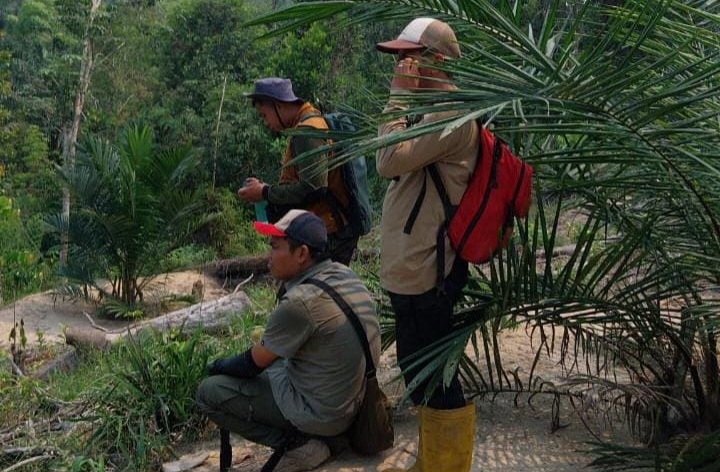 Beruang Belum Terlacak, Tim BKSDA Pertimbangkan Opsi Perangkap