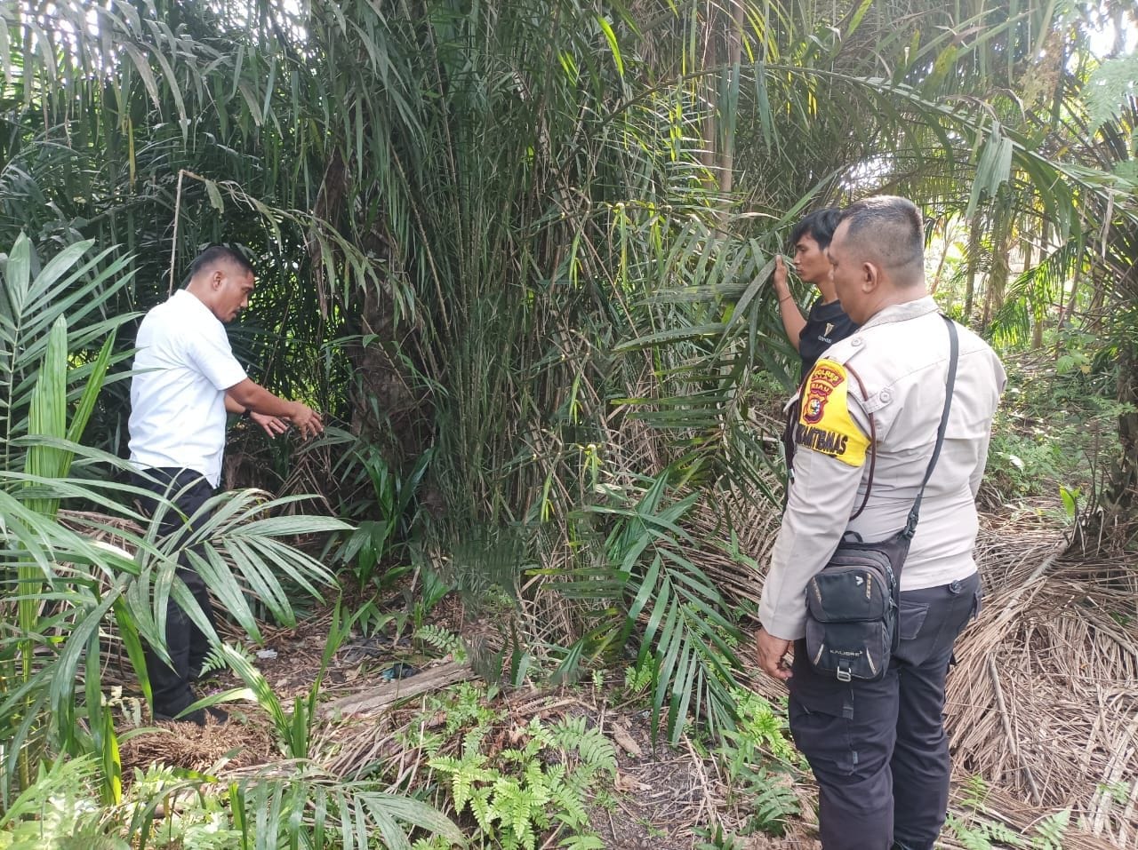 Siswi SMP di Siak Digilir 6 Remaja di Belakang Mesjid, 3 Pelaku Masih SD