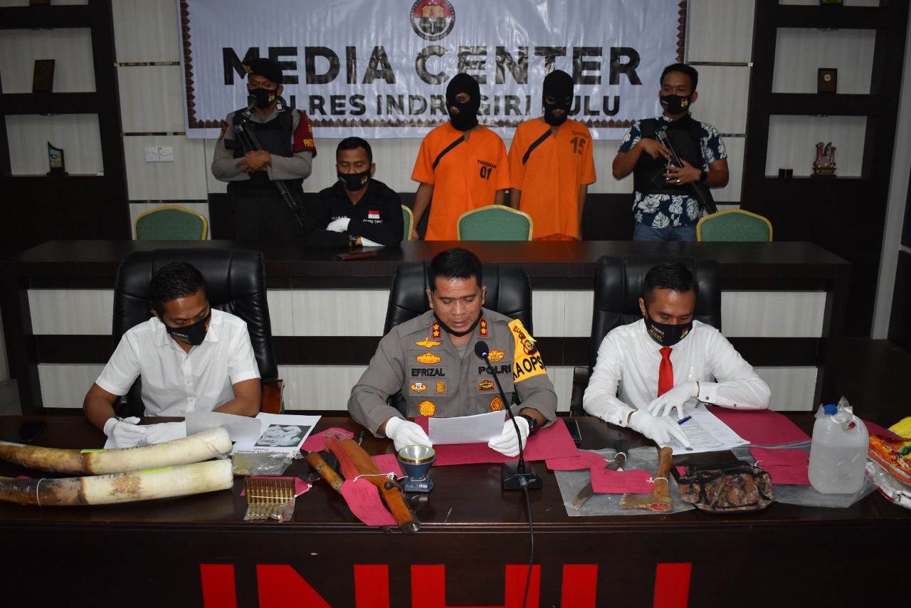 Dua Pembunuh Gajah di Taman Nasional Riau Ditangkap