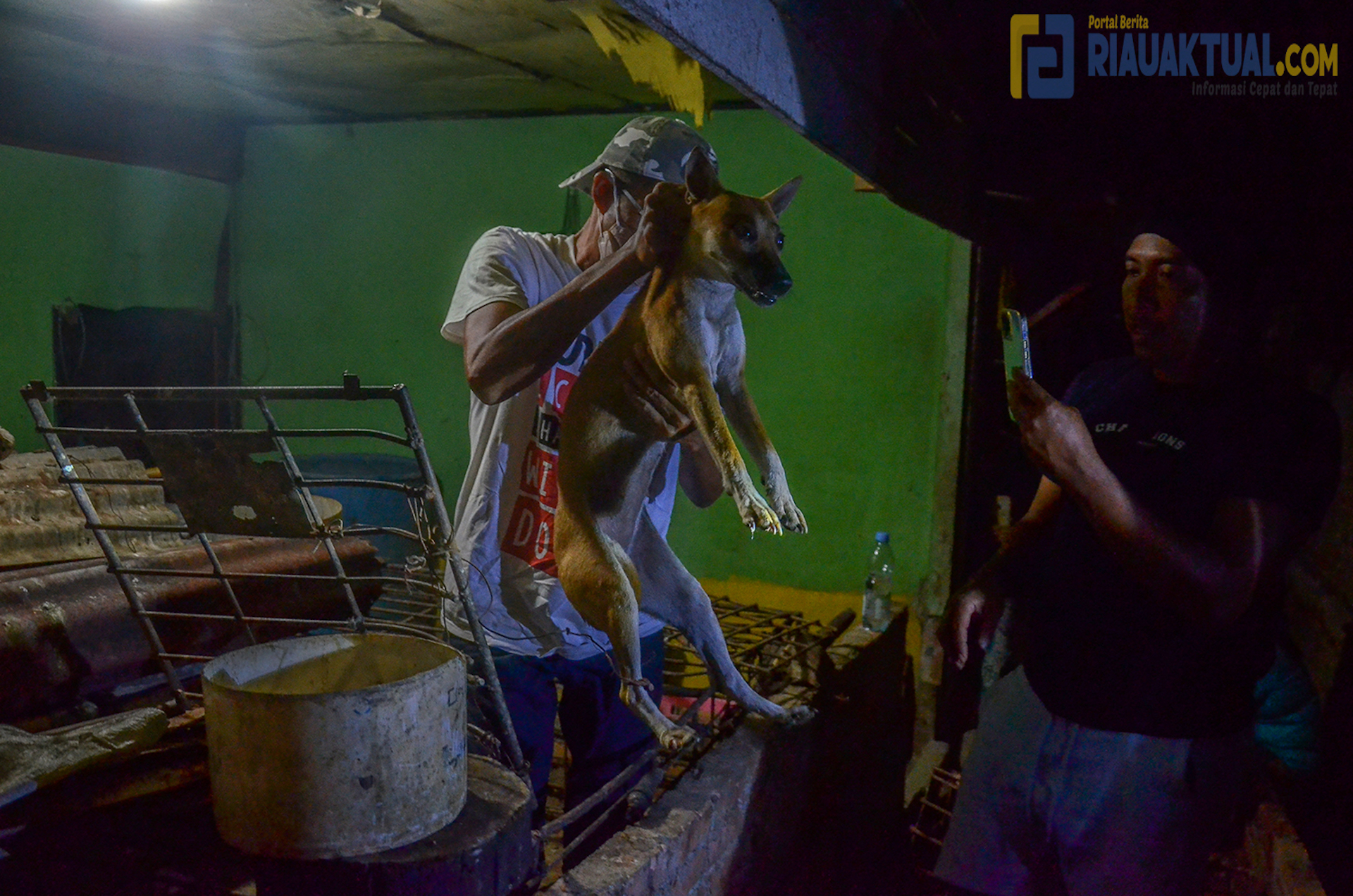 Komunitas Pecinta Satwa di Pekanbaru Evakuasi 6 Ekor Anjing dari Rumah Jagal