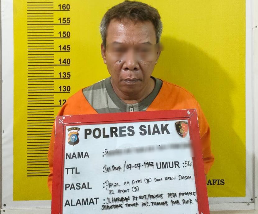 Edar Sabu 50,15 Gram, Kakek di Perawang Siak Dibekuk Polisi