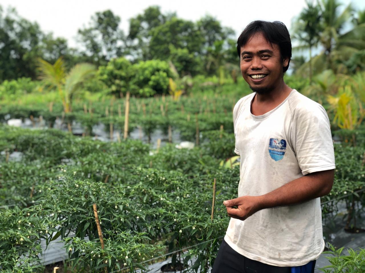 Pilih Berkebun, Ini Kata Sarjana Muda Asal Tempuling