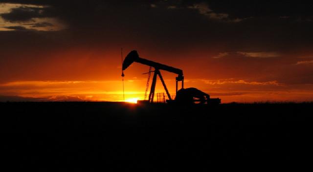 Perusahaan Migas Asing Kuasai Eksplorasi Minyak di Indonesia