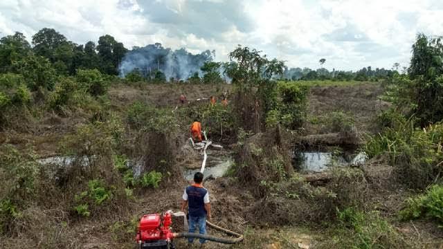 Tim Karhutla Padamkan Api yang Membakar Lahan di Langgam