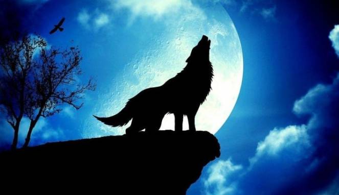 Tiga Fenomena Langit di Awal Tahun 2018