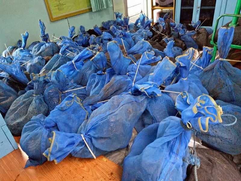 Trenggiling Disenludupkan ke Malaysia, Dua Pelaku Ditangkap TNI AL