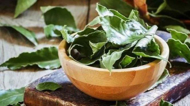 Bakar Daun Salam di Dalam Rumah, Hal Mengejutkan Akan Terjadi