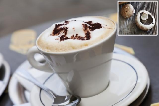Menguak manfaat & efek kopi jamur untuk kesehatan